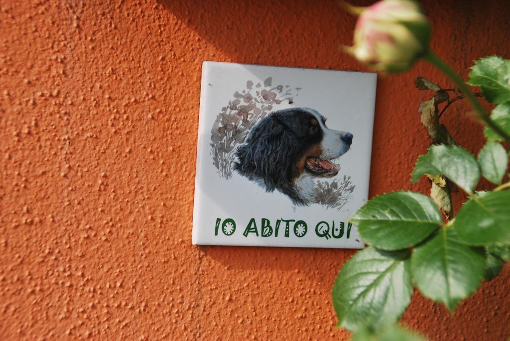 Villetta Gaia Colle Umberto  Exterior photo